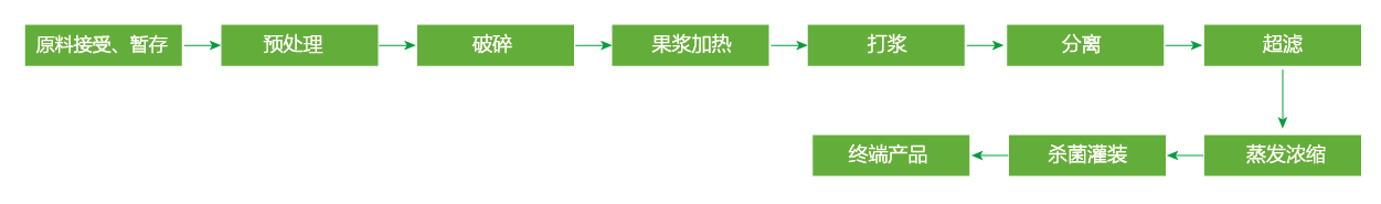 藍莓、草莓、桑葚濃縮汁